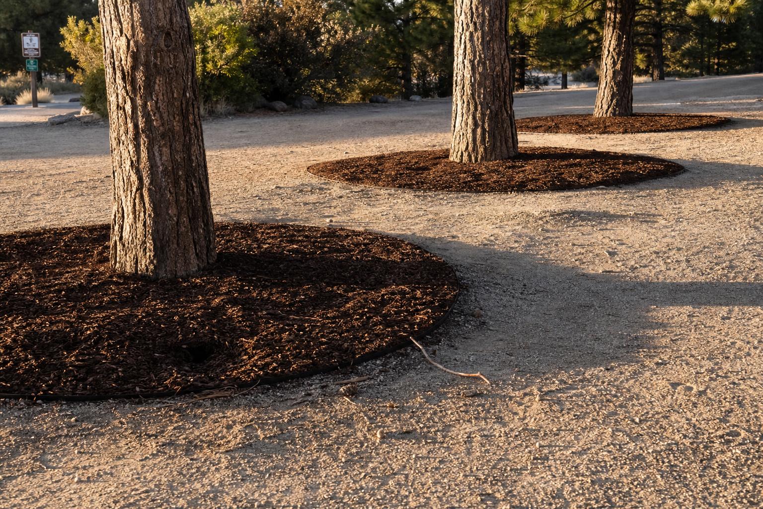 Cedar Mulch Installation